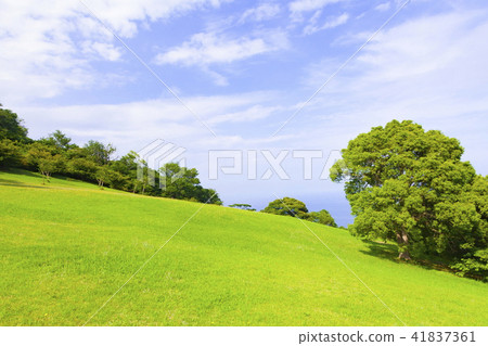 Shizuoka prefecture Ito city Komuroyama Park Scenery of Dinosaur Square Shizuoka prefecture Ito city Komuroyama Park Scenery of Dinosaur Square 41837361