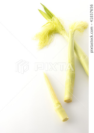 Baby cone Young corn 41837656