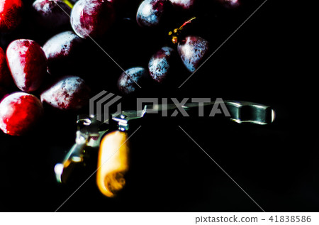 corkscrew with cork on snail  41838586