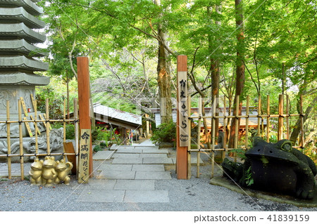 小栗市Frogsa寺 小栗市Frogsa寺 41839159