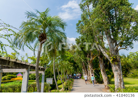 士林官邸植物 士林官邸の植物 Presidential Residence Garden 41840136