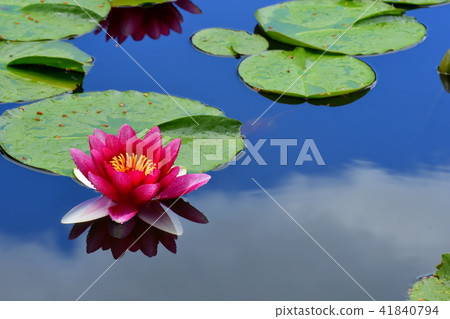 Water lake pond 41840794