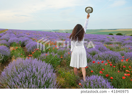 young girl is in the lavender field 41840975