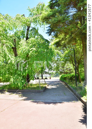 Sendai Nakagaoka Park Sendai Nakagaoka Park 41841677