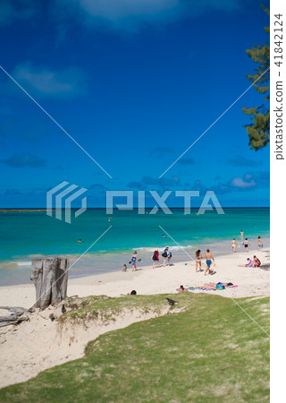 放鬆檀香山 41842124