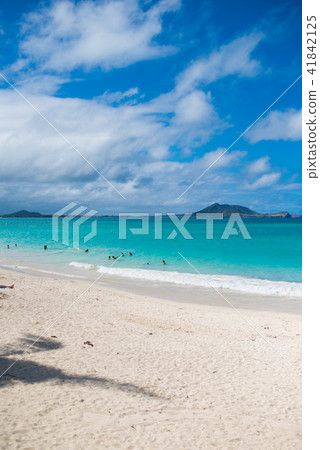 放鬆檀香山 放鬆檀香山 41842125