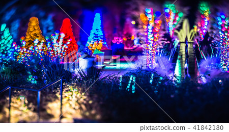 christmas light bokeh at daniel stowe gardens  41842180