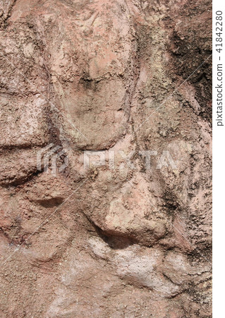 The texture of the masonry walls of light-colored stone The texture of the masonry walls of light-colored stone 41842280