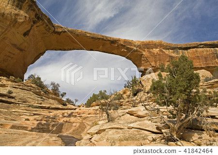 Owachamu Bridge at Natural Bridges, Utah 41842464