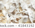 Part of the light tree eaten termites, macro 41843192