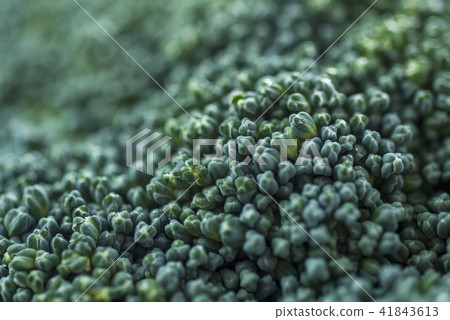 closeup of raw broccoli closeup of raw broccoli 41843613