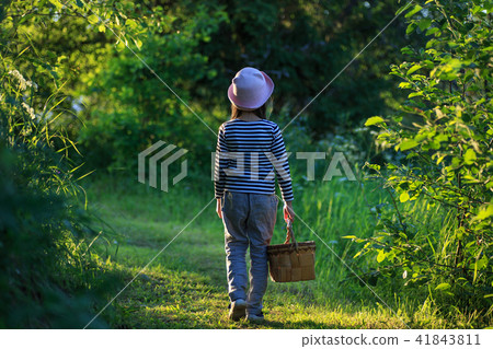 Young girl walking on a path through green woods carrying a basket 41843811