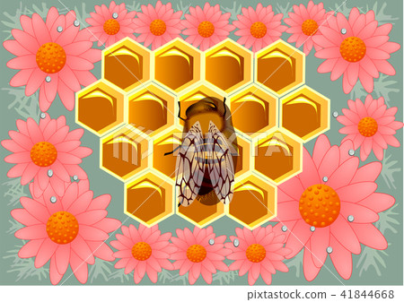 beeswax and flowers beeswax and flowers 41844668