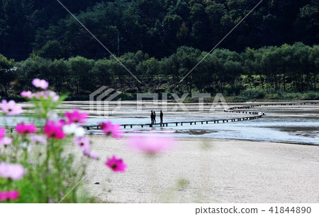 Bamboo bridge 41844890