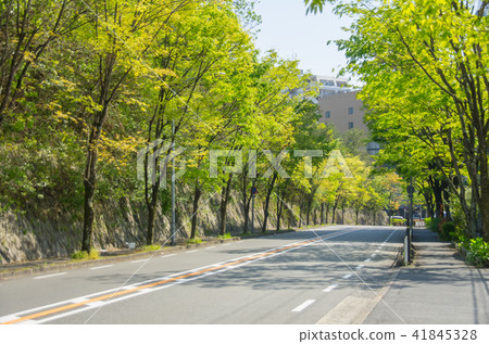 Minoh-shi Funabashi Nishi · Fresh green lined street scenery 41845328