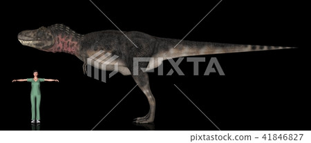 恐龍比例圖·Talbosaurus 41846827