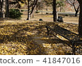 Autumn mood 41847016