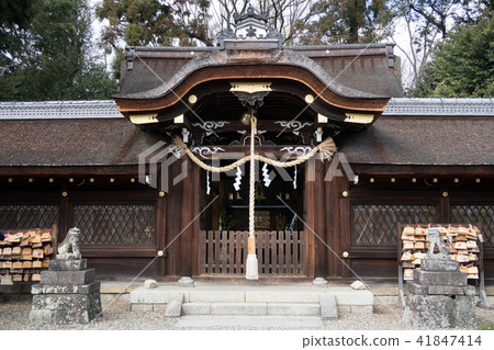 Kyoto · Umenomiya Shrine 41847414