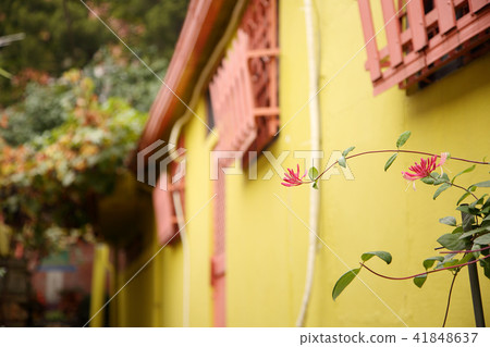 a strong Korean atmosphere RF photo, showing traditional Korean scenes. 076 a strong Korean atmosphere RF photo, showing traditional Korean scenes. 076 41848637