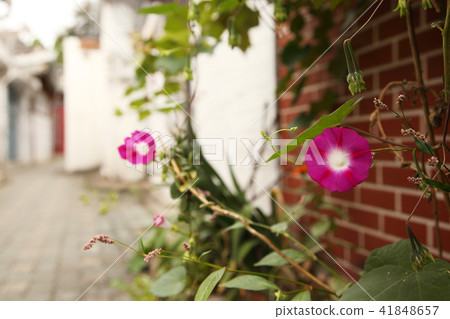 a strong Korean atmosphere RF photo, showing traditional Korean scenes. 100 a strong Korean atmosphere RF photo, showing traditional Korean scenes. 100 41848657