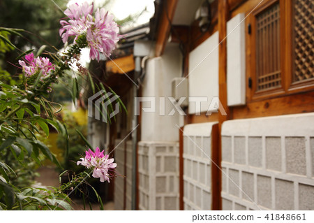 a strong Korean atmosphere RF photo, showing traditional Korean scenes. 088 a strong Korean atmosphere RF photo, showing traditional Korean scenes. 088 41848661