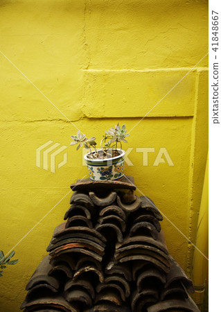 a strong Korean atmosphere RF photo, showing traditional Korean scenes. 073 a strong Korean atmosphere RF photo, showing traditional Korean scenes. 073 41848667