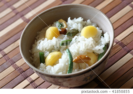 Wild vegetable chestnuts owl 41850855