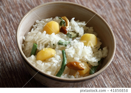 Wild vegetable chestnuts owl 41850858