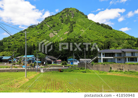 Morigamachi, early summer Tadami cho, Fukushima prefecture 41850948