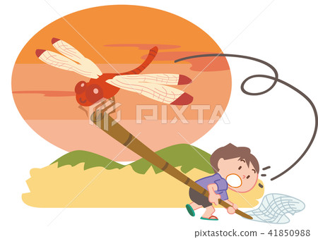 紅蜻蜓02 41850988