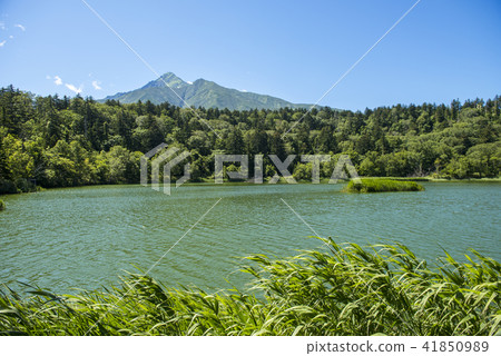 Rishiri Rebuns Sarobetsu National Park 41850989