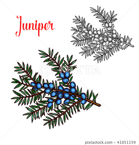 Landscape design and gardening service banner 41851159