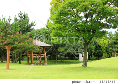 Healing Garden Healing Garden 41851241
