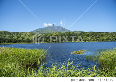 Rishiri Rebuns Sarobetsu國家公園 41851249