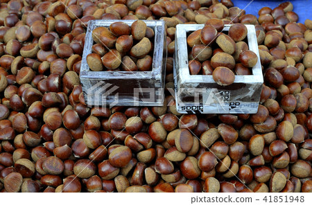 板栗 板栗 41851948