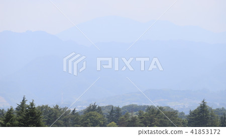 haze haze 41853172