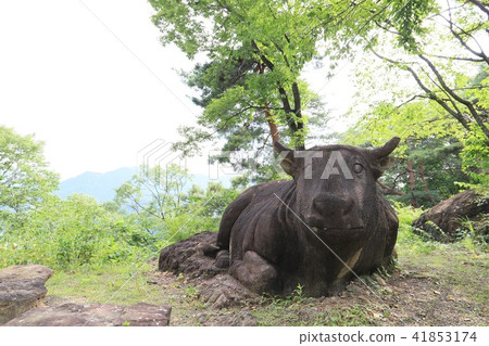 Buddha statue 41853174