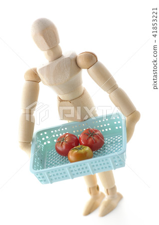 Producer Shipment Farmer Tomato 41853221