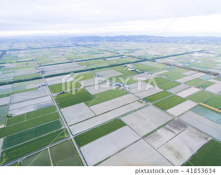 Agricultural zone (aerial photography) 41853634
