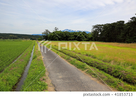 Kujukushima島之旅 Kujukushima島之旅 41853713