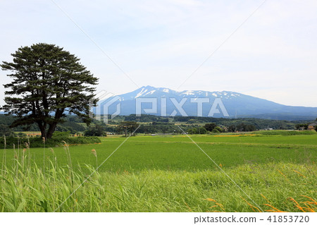 Kujuku-jima Chokaiyama Kujuku-jima Chokaiyama 41853720
