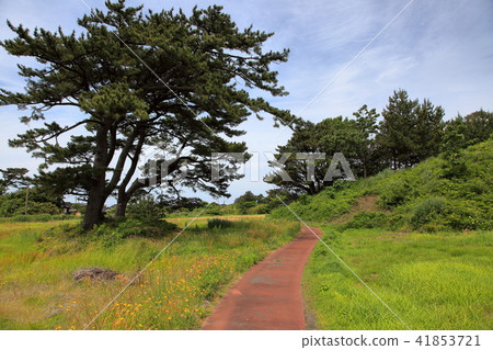 Tour of Kujukushima Island Tour of Kujukushima Island 41853721