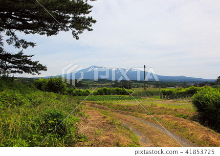 Tour of Kujukushima Island 41853725