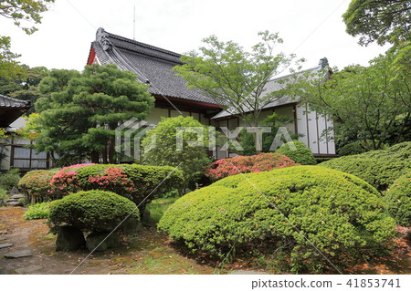 Sumidenji garden Sumidenji garden 41853741