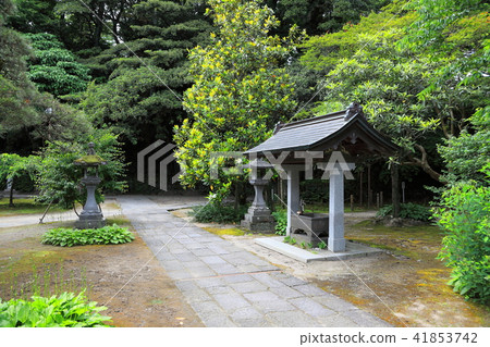 在寺廟裡面 41853742