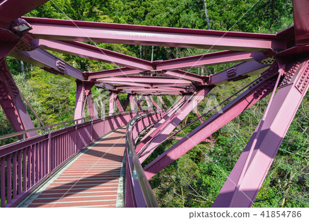 AYA YAMANAKA パープル AYA YAMANAKA / pullover 【公式通販】