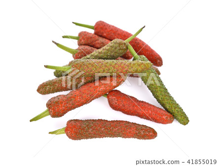 Long Pepper isolated on white background Long Pepper isolated on white background 41855019