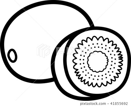 Kiwi Fruit Black And White Line Drawing Stock Illustration 41855692 Pixta