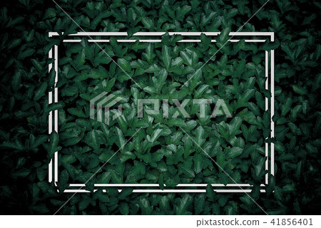 creative layout, with white square frame, flat lay creative layout, with white square frame, flat lay 41856401