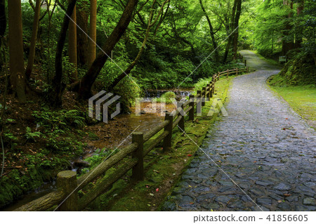 Konomiya寺 Konomiya寺 41856605